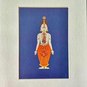 NWT ART PRINT: Garden Cosmos, The Royal Paintings of Jodhpur